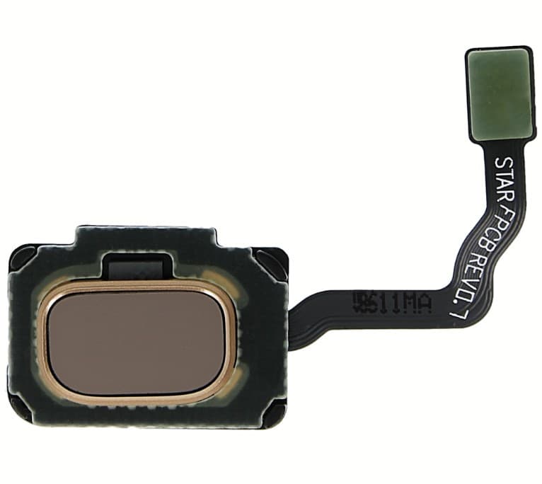 Samsung Galaxy S9 & S9 Plus Fingeravtryckssensor - Original - Guld